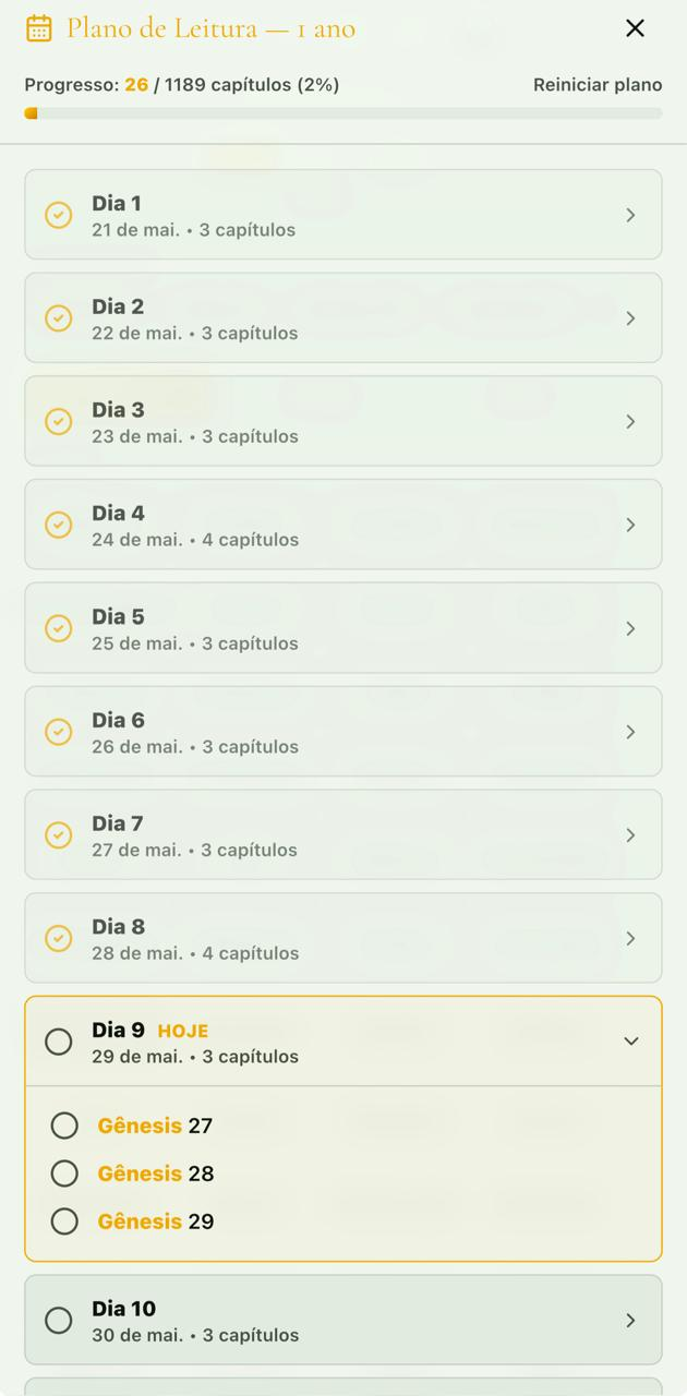 Plano de Leitura — 1 ano — 1.189 capítulos divididos em dias com progresso visual.